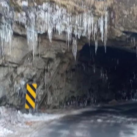 Dom wakacyjny Pod śmielcem *