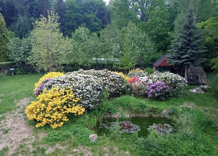 Pod Smielcem Дом отдыха